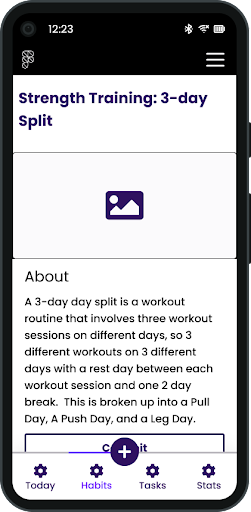 Wireframe Strength Training 3-day split